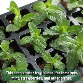 Mr. Pen seed starter tray kit drainage holes in each cell