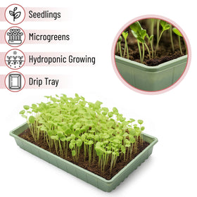Mr. Pen seed tray germination setup ideal for outdoor starts.