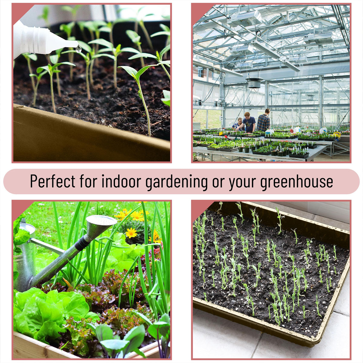 Raised-edge Mr. Pen seed trays keep soil contained during potting.