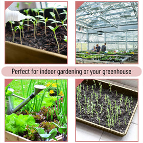 Raised-edge Mr. Pen seed trays keep soil contained during potting.