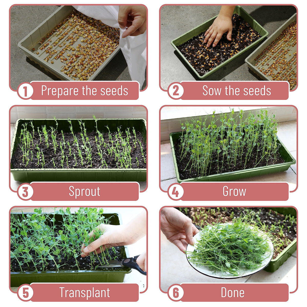 Mr. Pen seed trays compatible with hydroponics and heat mats.