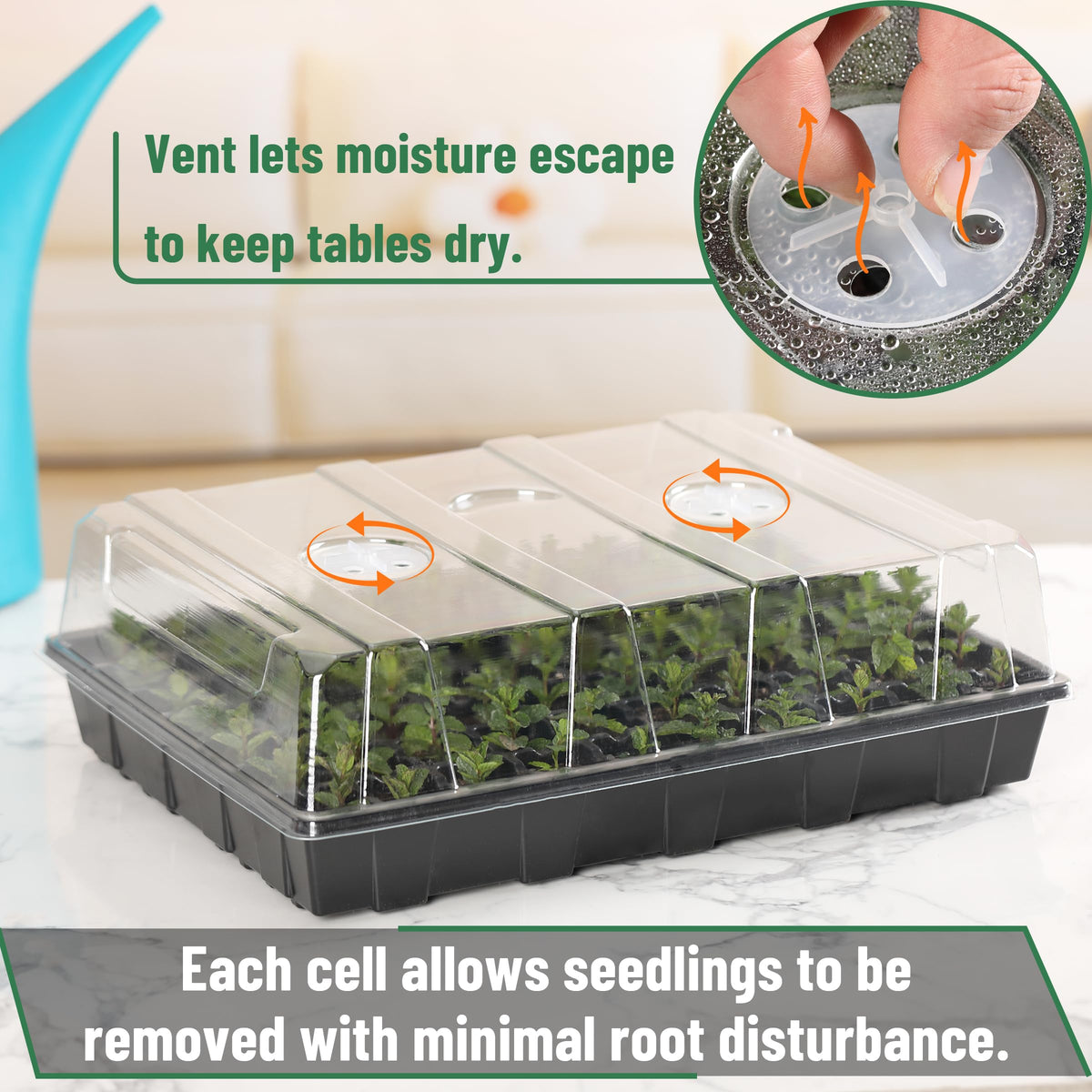 Mr. Pen transparent lid mini-greenhouse preserves warmth and humidity for seedlings