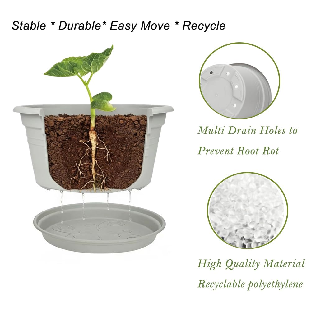 MRPAPA 10-inch diameter pot provides ample root space for medium to large plants.