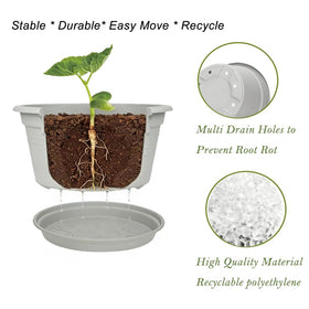 MRPAPA 10-inch diameter pot provides ample root space for medium to large plants.