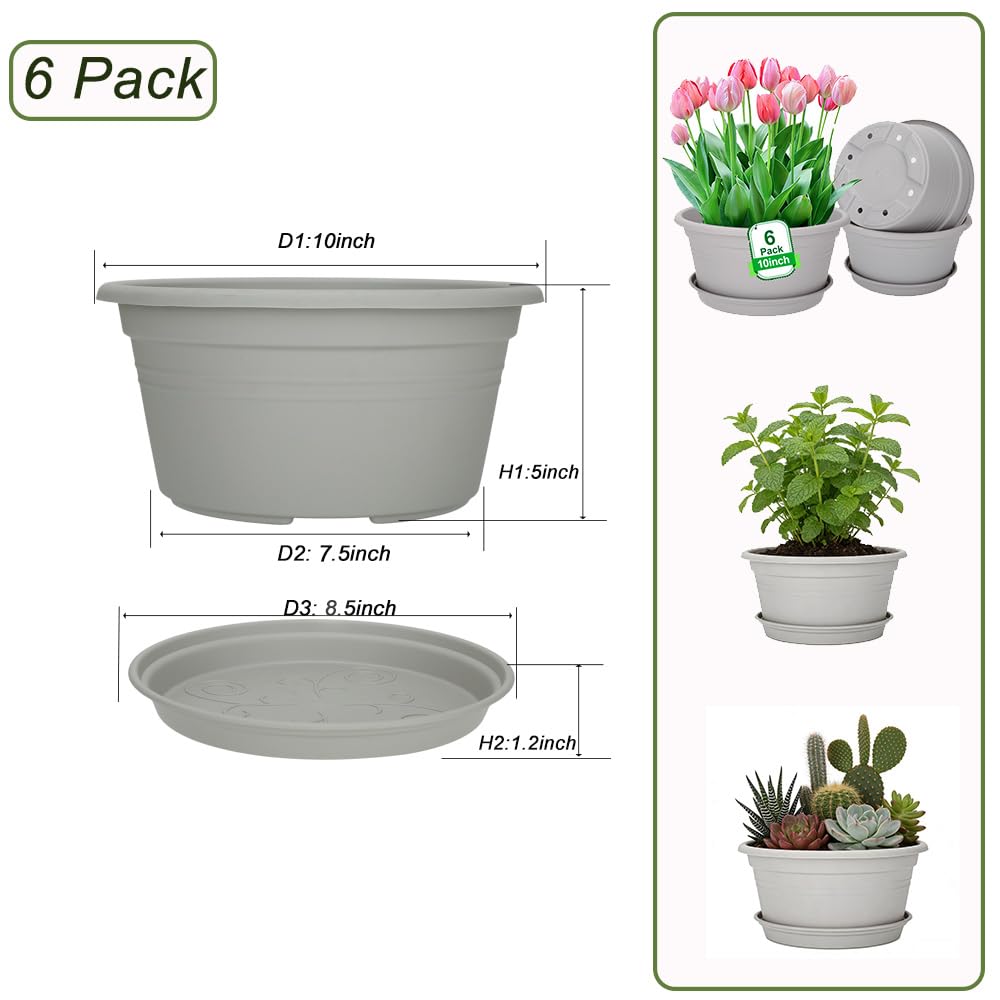 Six-pack of versatile planters for flowers, herbs, succulents, and vegetables.