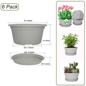 Six-pack of versatile planters for flowers, herbs, succulents, and vegetables.