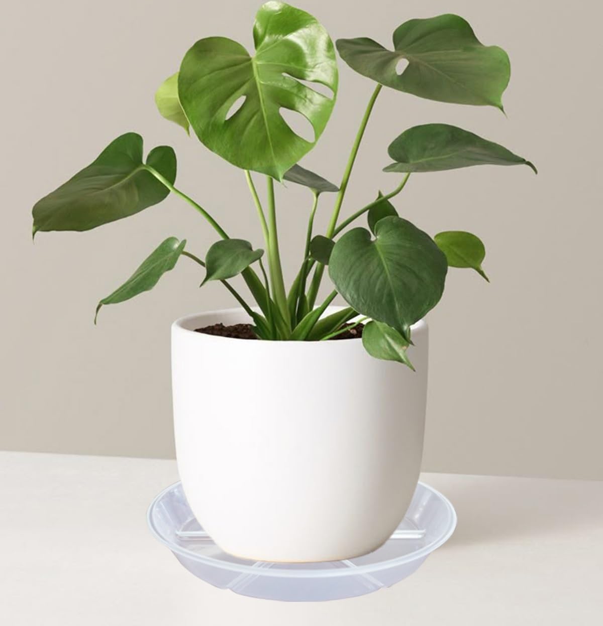 MSKIAUO outdoor-friendly saucers suit balconies, patios, and decks.