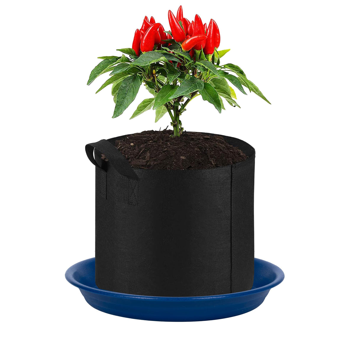 MSKIAUO classic blue design complements formal and casual spaces