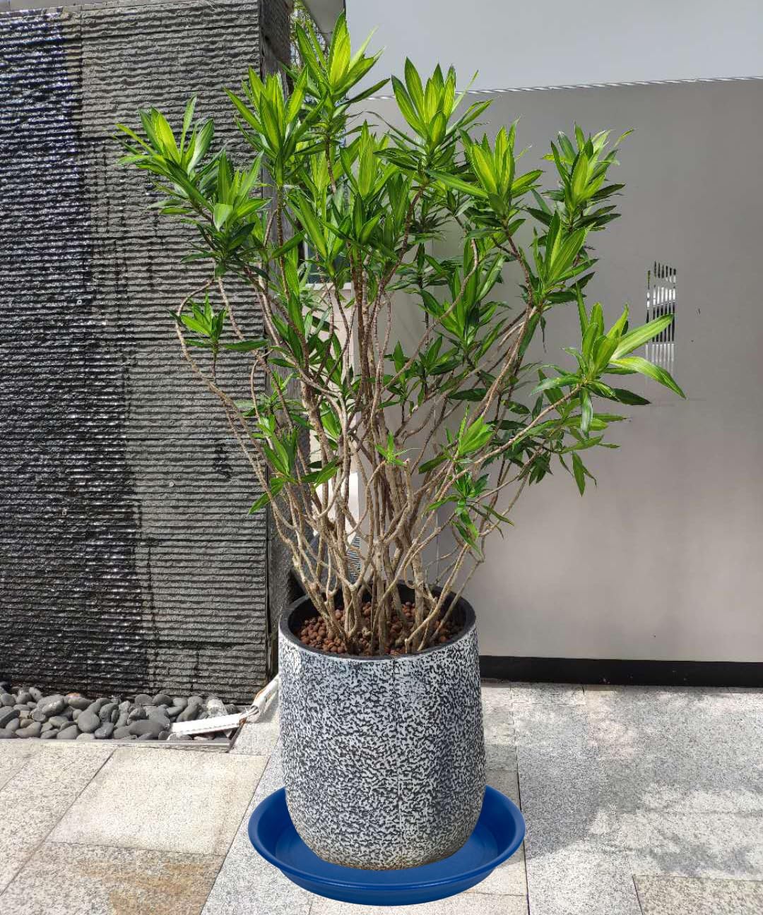 MSKIAUO versatile for indoor and outdoor planting setups