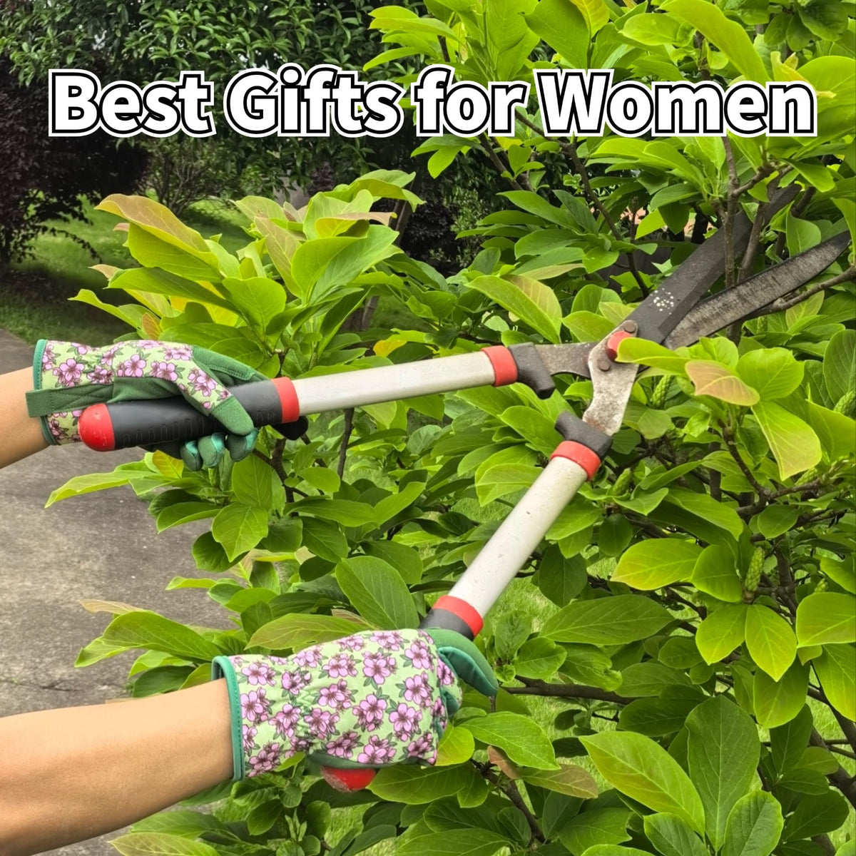 MSUPSAV thorn-proof fingertips protect hands during pruning of thorny plants