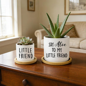 Msyueos Say Aloe desk display pot set enhances home or office decor