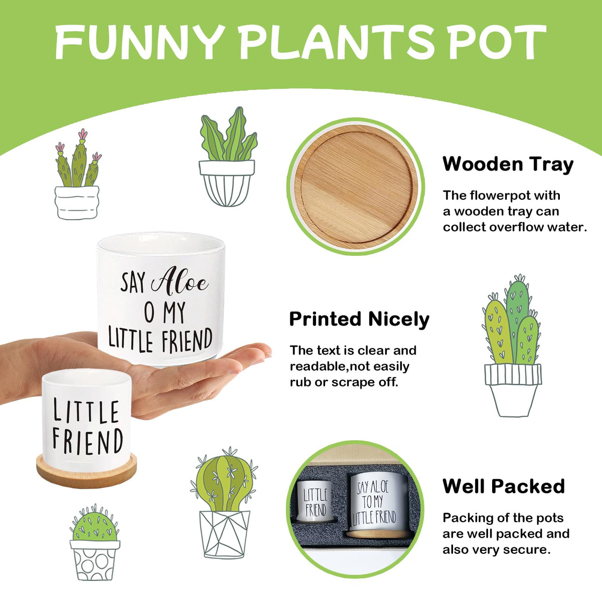Msyueos Say Aloe planter close-up highlighting playful message and craftsmanship