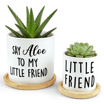 Msyueos Say Aloe planter set with two pots for desks and gifts