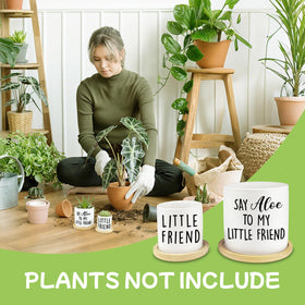 Msyueos Say Aloe succulent pot perfect for small plants on windowsill