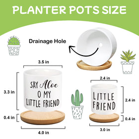 Msyueos Say Aloe planters with wood tray ideal for drainage and display