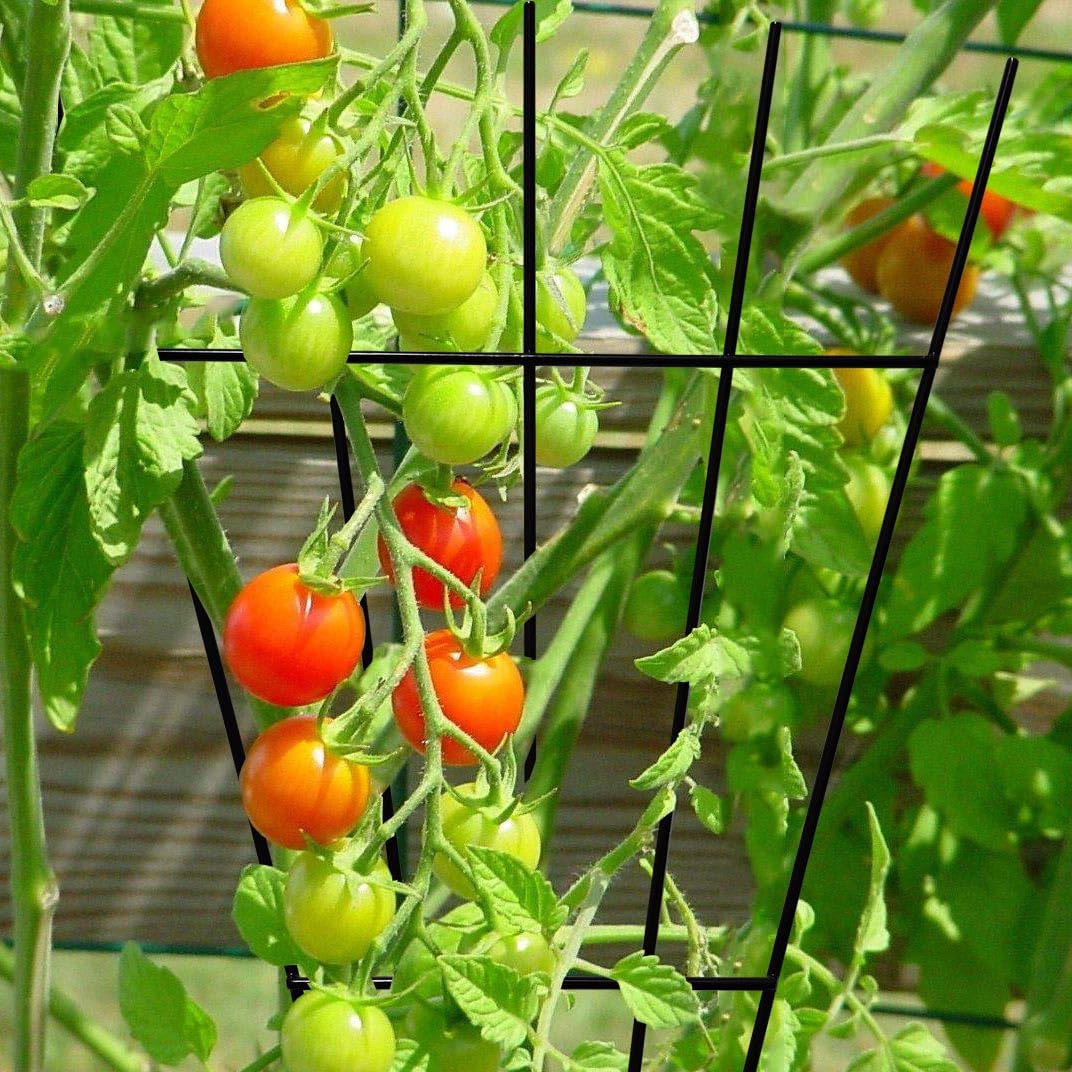 MTB Garden four-pack trellis panels support multiple potted climbers