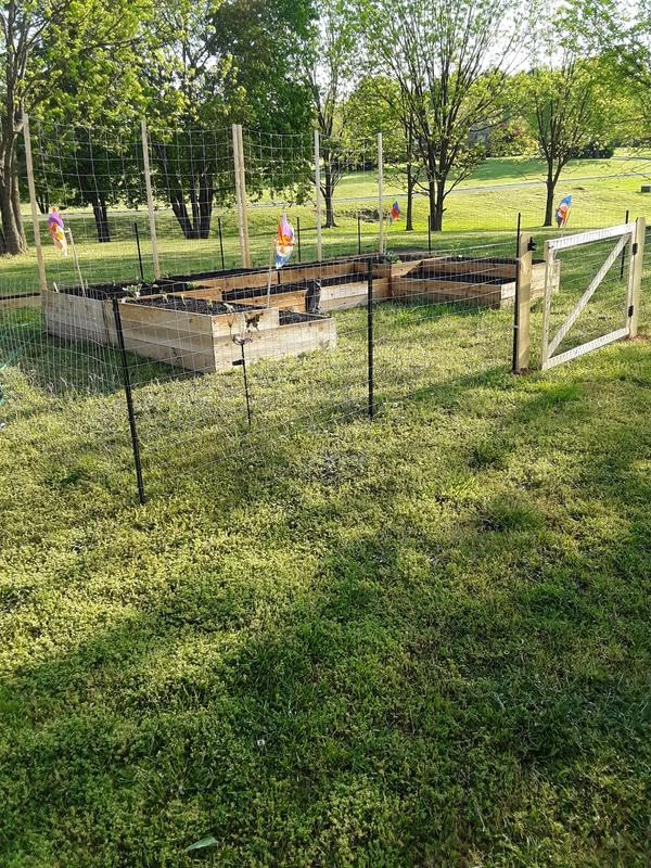 MTB Supply 14-gauge steel post delivers rugged fence stakes