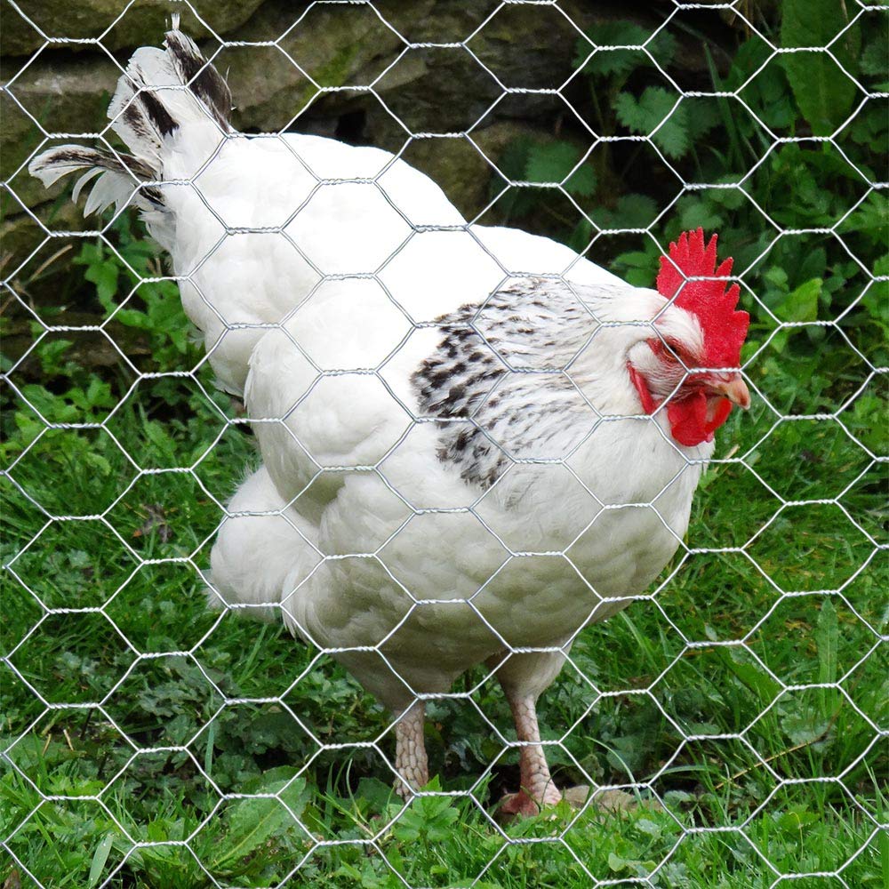 MTB Supply 1 inch mesh wire for versatile animal containment.