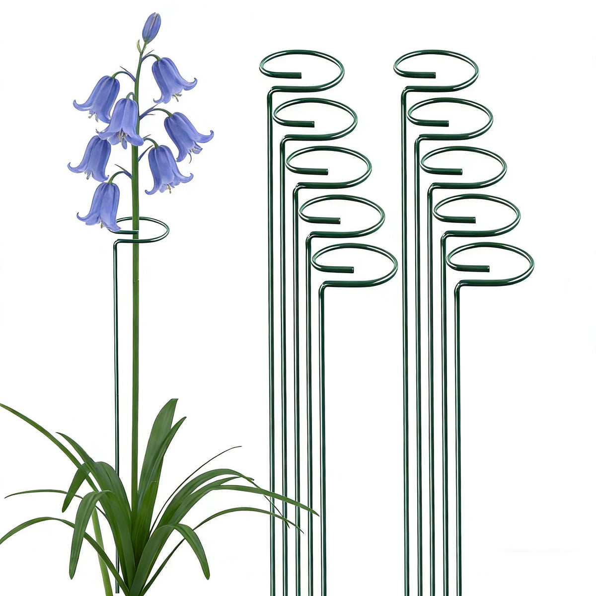 MTB Supply 36-inch green single-stem plant stake.