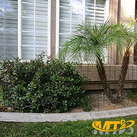 MTB Supply animal barrier garden edge helps protect delicate plants from small critters.
