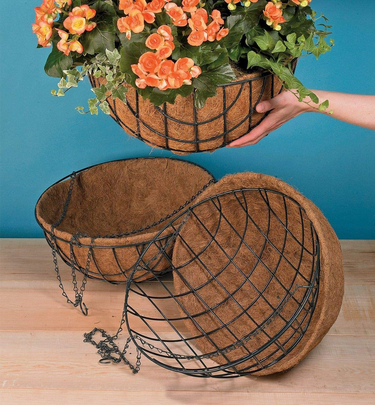 MTB Supply coco-liner basket with steel frame supports plant growth.