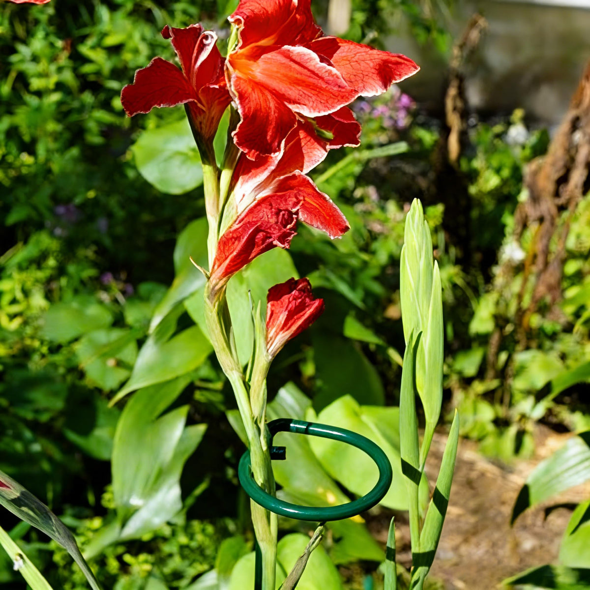 MTB Supply easy-slip 24in stake makes installation quick and minimal disturbance.