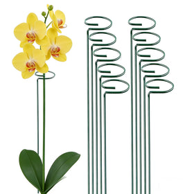 MTB Supply green single-stem stake 24in supports delicate stems while blending with the garden.