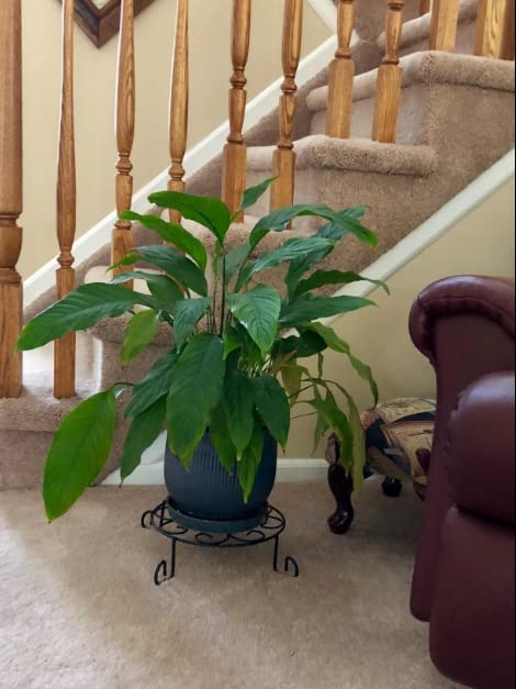 MTB Supply home garden decor stand elevates pots with stability
