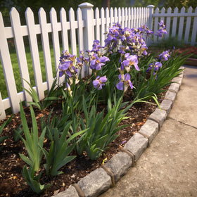 MTB Supply multiuse stake supporting amaryllis, peony, lily, narcissus in beds or pots