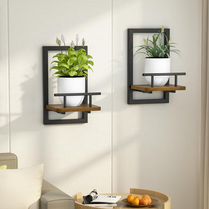MTGSTOCL floating shelf plant frame showcases greenery while saving wall space and acting as wall art