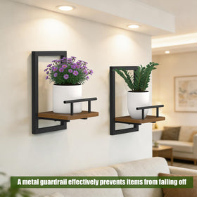 MTGSTOCL floating shelf plant frame supports up to 20 pounds for sturdy display