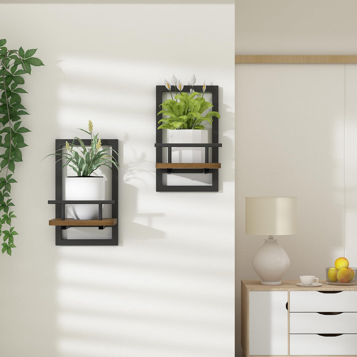 MTGSTOCL floating shelf plant frame adds a touch of nature to offices