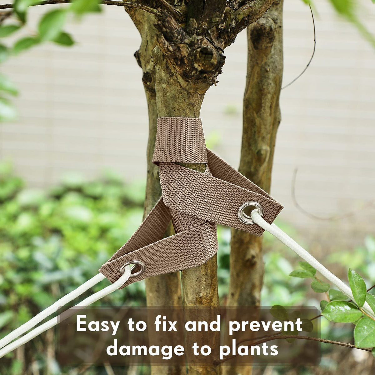 MTLEE straightening kit helps trees grow straighter with gentle guidance.