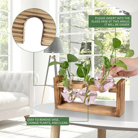 MTsigns heart-shaped glass terrarium highlights color, perfect for small plants and propagation displays.