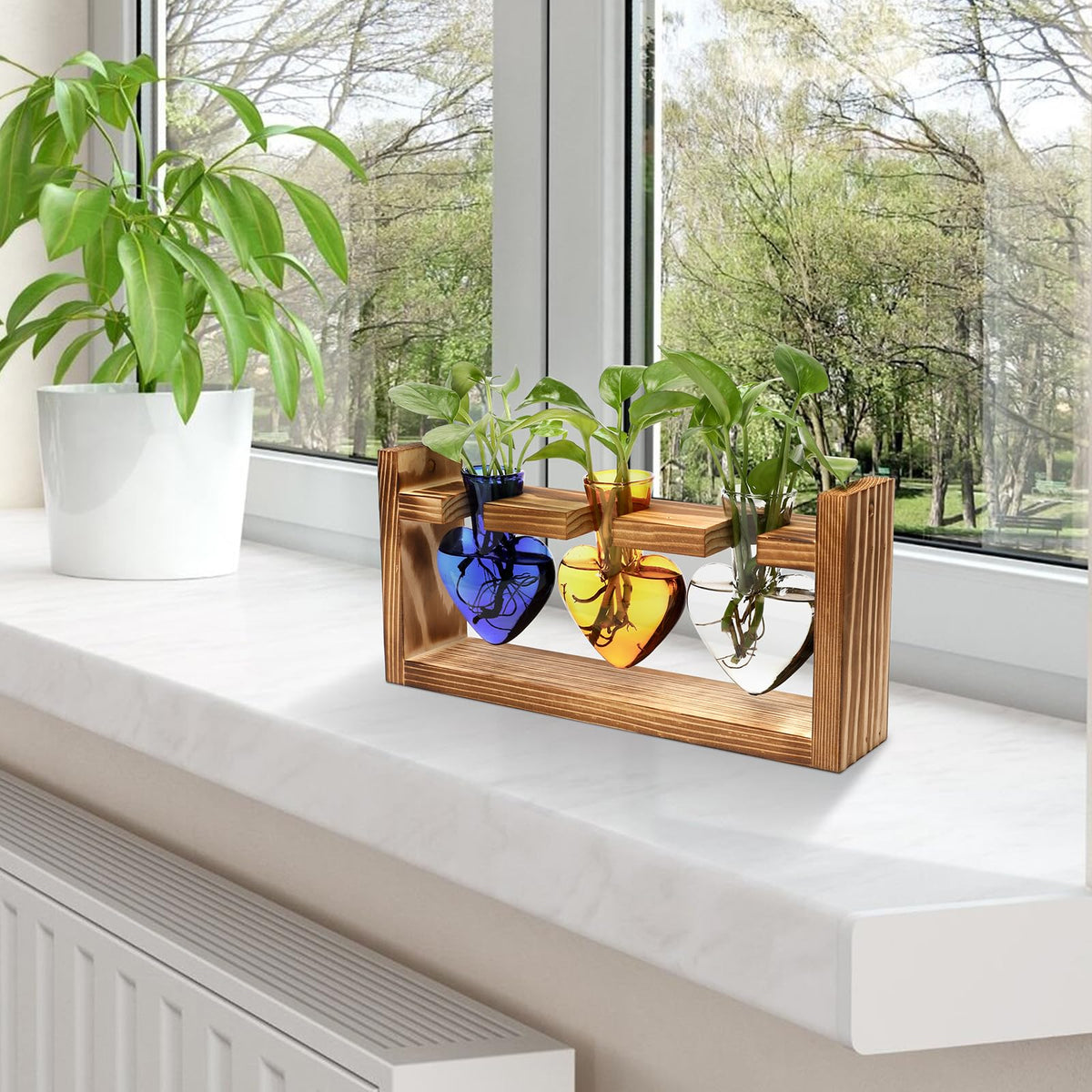 MTsigns office desk hydroponics vase adds natural charm to the workspace