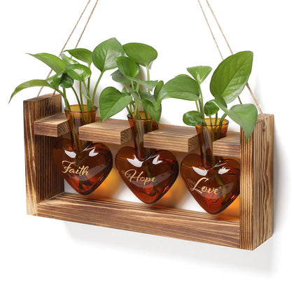 MTsigns plant terrarium propagation station on a wooden stand for elegant desk decor