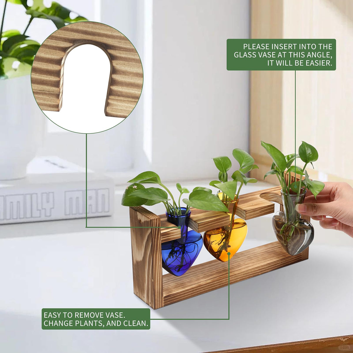 MTsigns wooden stand propagation station elevates a home garden display