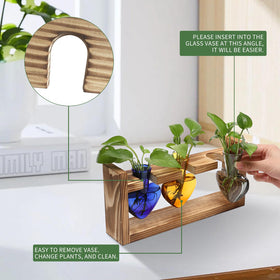 MTsigns wooden stand propagation station elevates a home garden display