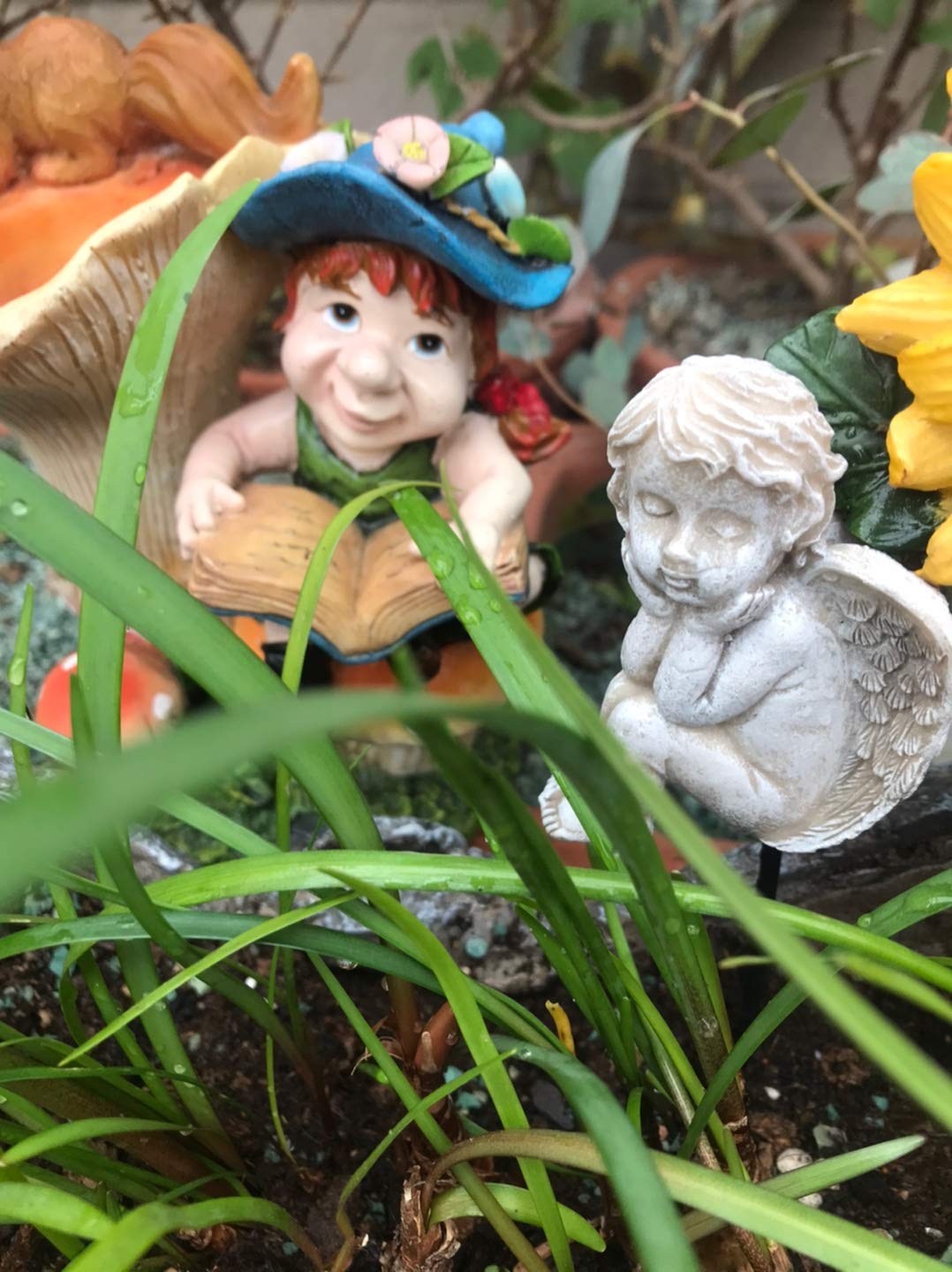 MUAMAX decorative stones with angel garden pick offer a unique gift idea.