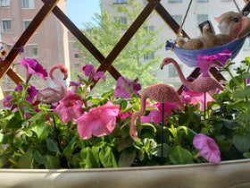 Compact 3-inch flamingos fit small planters and mini scenes.