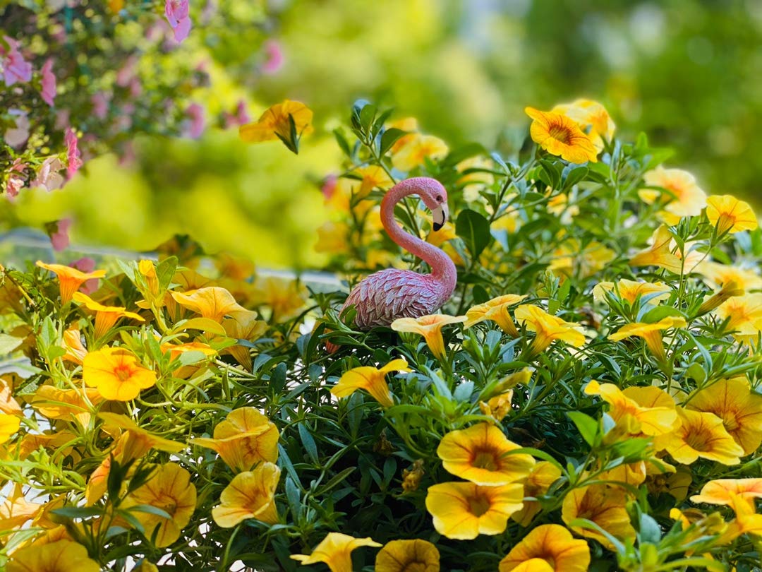 Vibrant pink hues elevate fairy garden aesthetics and crafts.