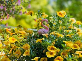 Vibrant pink hues elevate fairy garden aesthetics and crafts.