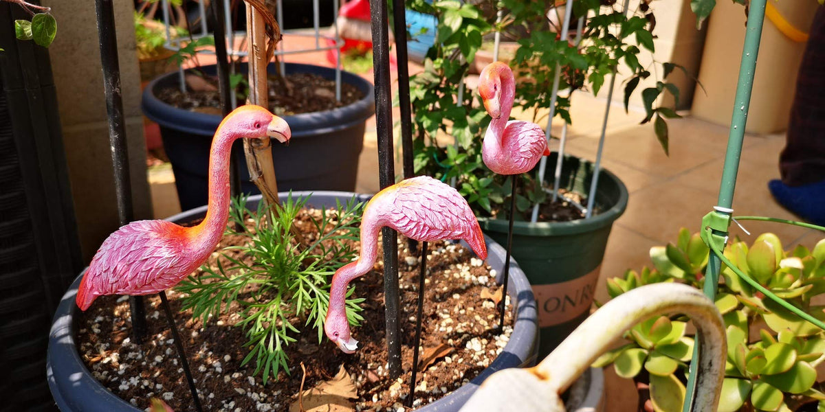MUAMAX mini flamingos brighten succulents and potted greens.