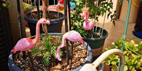 MUAMAX mini flamingos brighten succulents and potted greens.