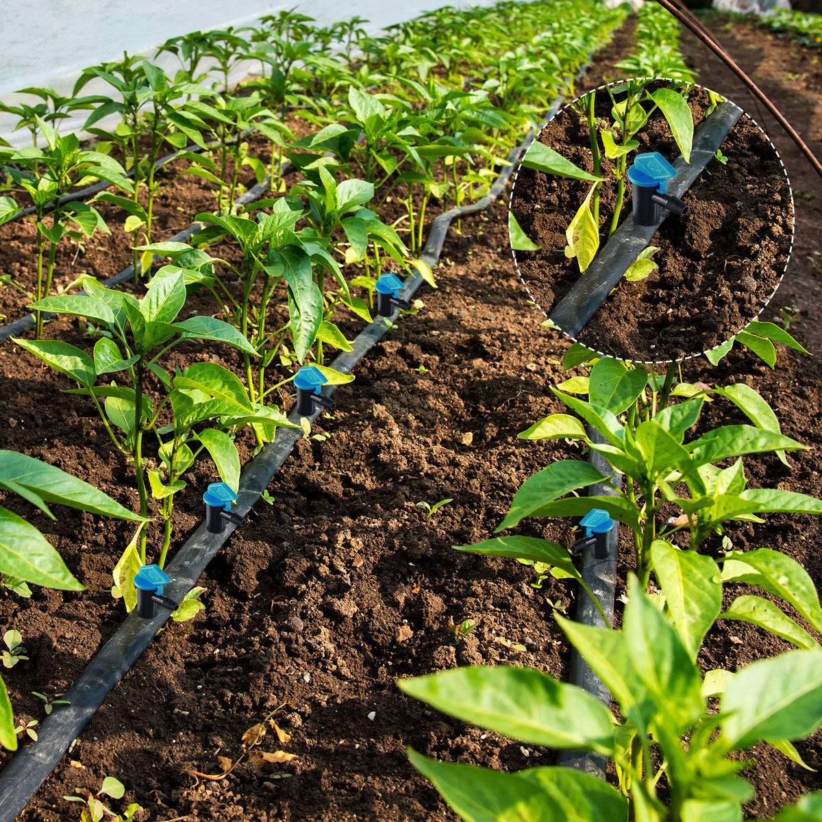 Mudder 1/2-inch trunk-line compatibility supports flexible irrigation layouts.