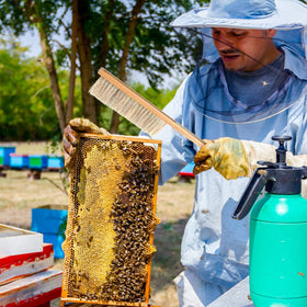 Mudder beehive brush wooden handle for comfortable hive maintenance.