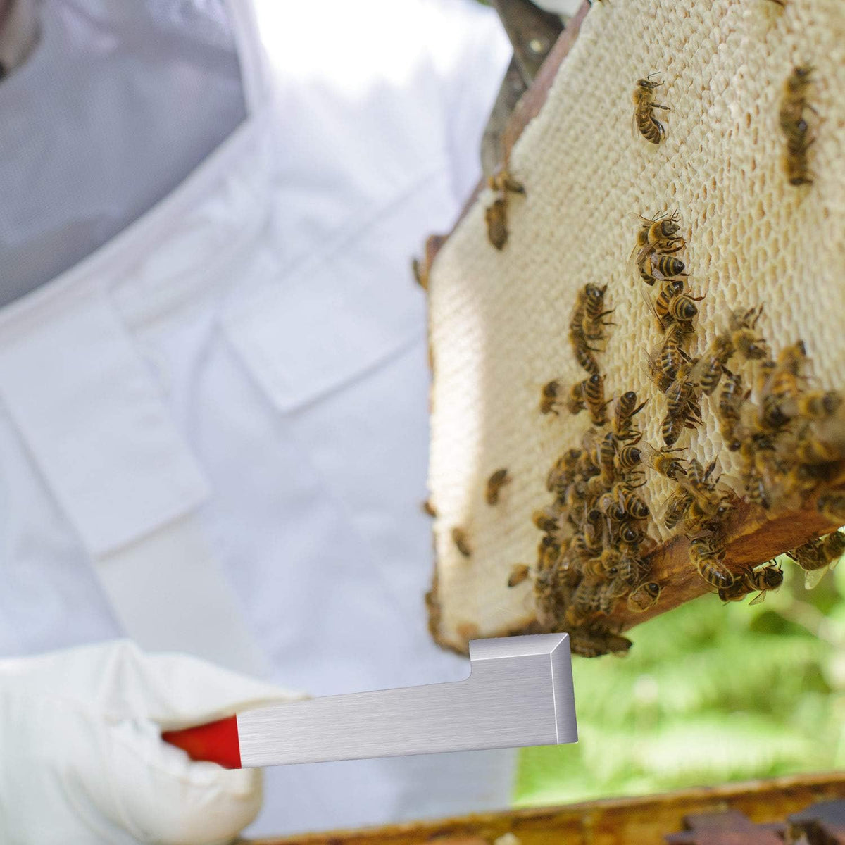 Mudder beekeeping tools with hanging hole design for easy storage.