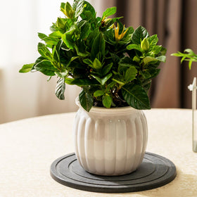 MUDEELA 8-inch diatomaceous earth plant saucer decorative indoor or balcony tray