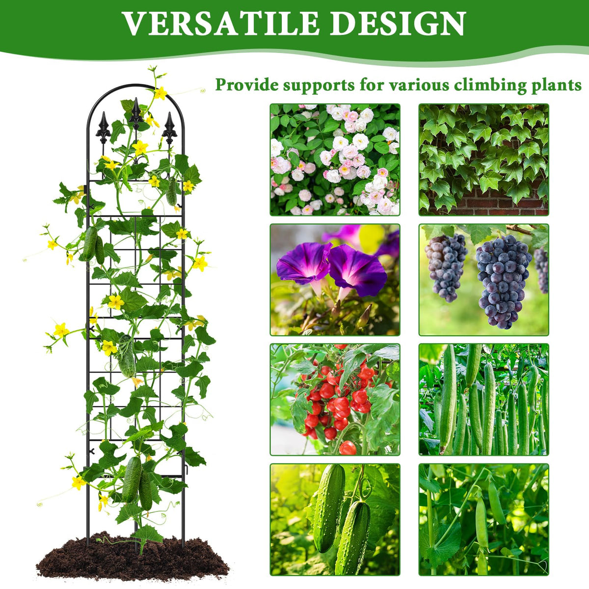 MUDEREK elegant garden partition for patios and lawns
