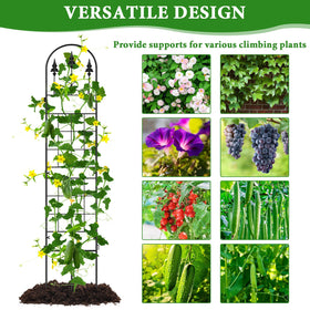 MUDEREK elegant garden partition for patios and lawns